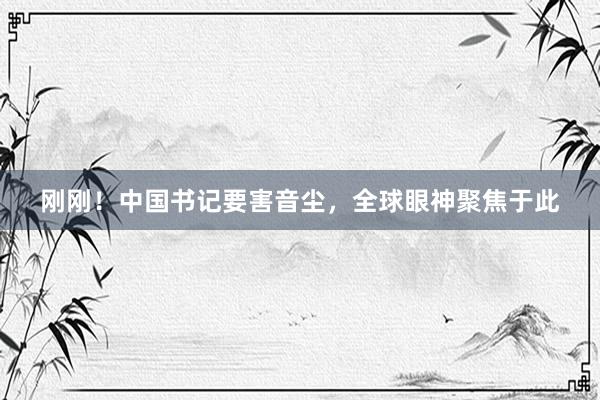 刚刚！中国书记要害音尘，全球眼神聚焦于此