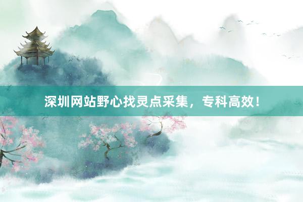 深圳网站野心找灵点采集,专科高效!
